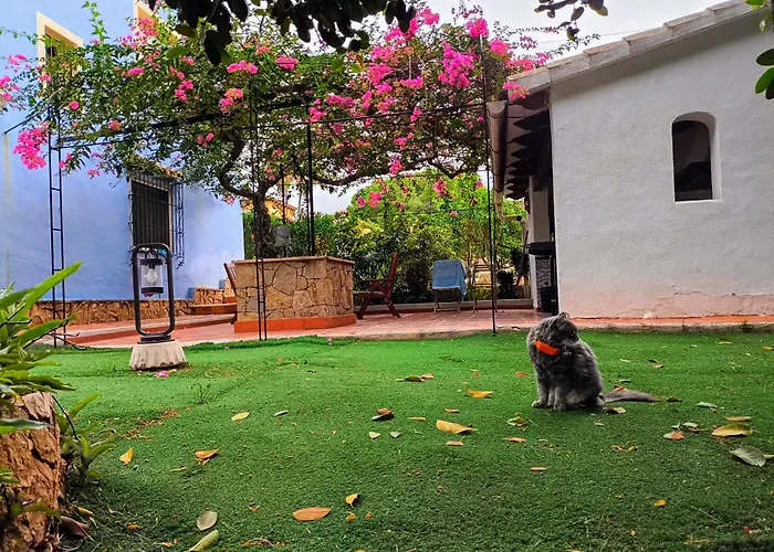 Estudio Rotas * Dénia